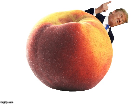 This doesn't need any context | image tagged in donald trump,impeach trump,impeach | made w/ Imgflip meme maker