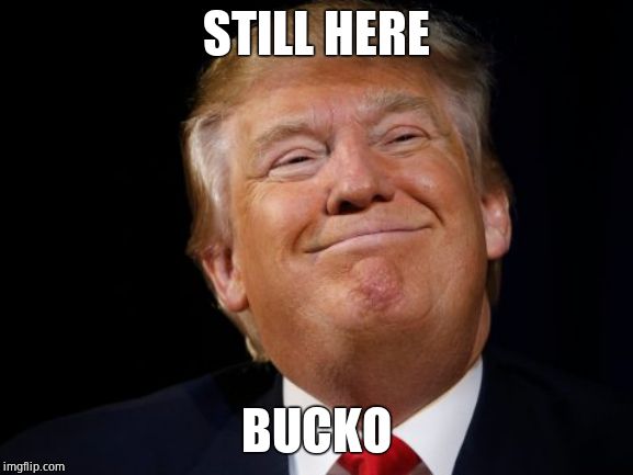 Smug Trump | STILL HERE BUCKO | image tagged in smug trump | made w/ Imgflip meme maker
