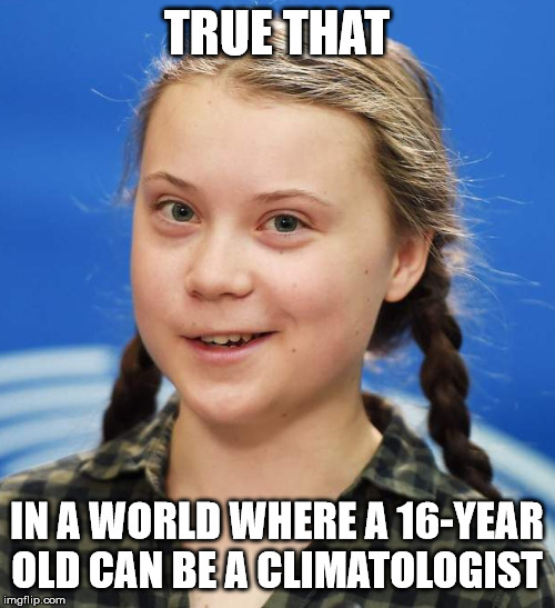 Greta Thunberg | TRUE THAT IN A WORLD WHERE A 16-YEAR OLD CAN BE A CLIMATOLOGIST | image tagged in greta thunberg | made w/ Imgflip meme maker