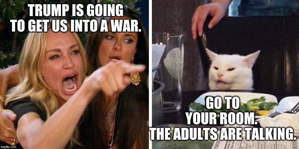 Smudge the cat | TRUMP IS GOING TO GET US INTO A WAR. GO TO YOUR ROOM.  THE ADULTS ARE TALKING. | image tagged in smudge the cat | made w/ Imgflip meme maker