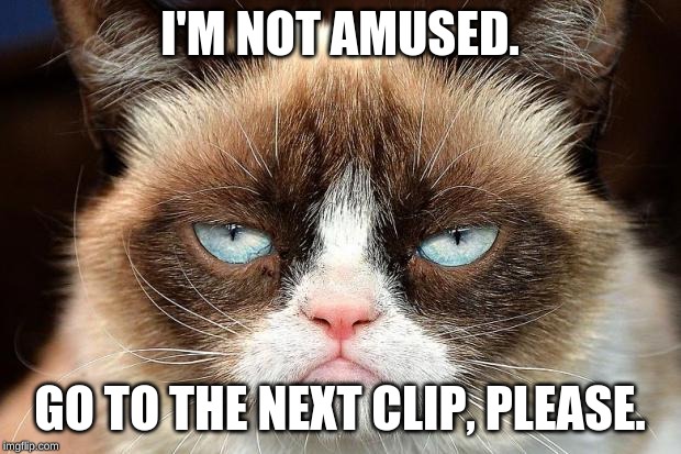 Grumpy Cat Not Amused | I'M NOT AMUSED. GO TO THE NEXT CLIP, PLEASE. | image tagged in memes,grumpy cat not amused,grumpy cat | made w/ Imgflip meme maker