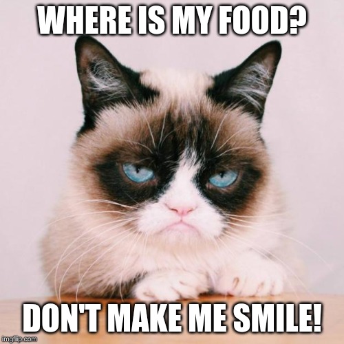 grumpy cat again | WHERE IS MY FOOD? DON'T MAKE ME SMILE! | image tagged in grumpy cat again | made w/ Imgflip meme maker