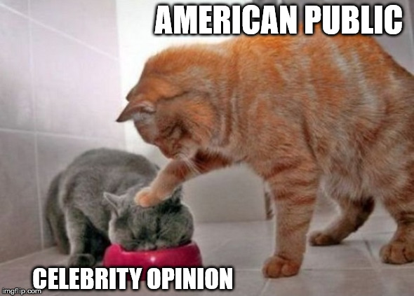 Force feed cat | AMERICAN PUBLIC; CELEBRITY OPINION | image tagged in force feed cat | made w/ Imgflip meme maker