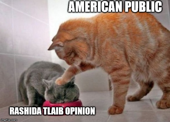 Force feed cat | AMERICAN PUBLIC; RASHIDA TLAIB OPINION | image tagged in force feed cat | made w/ Imgflip meme maker
