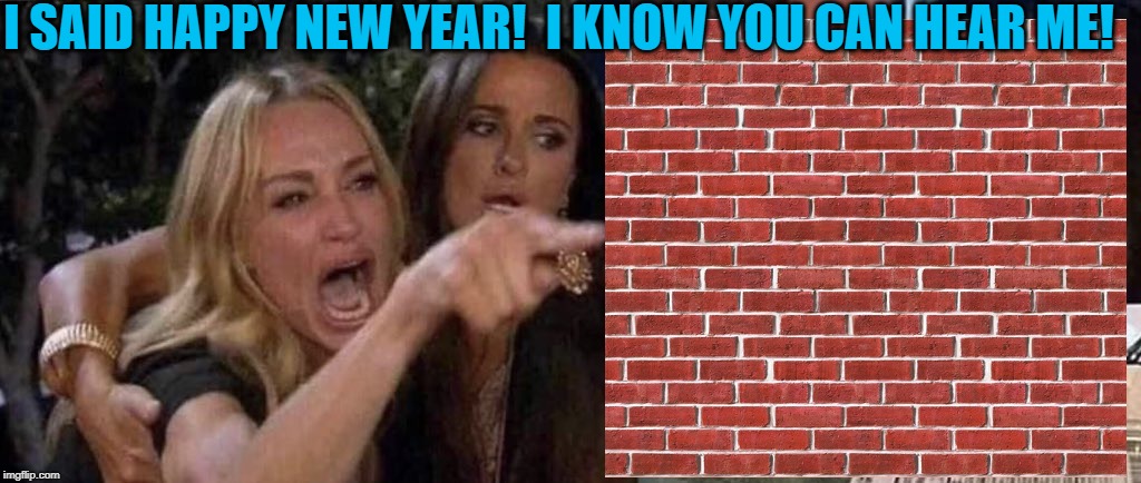 Happy new Year | I SAID HAPPY NEW YEAR!  I KNOW YOU CAN HEAR ME! | image tagged in woman yelling at cat | made w/ Imgflip meme maker