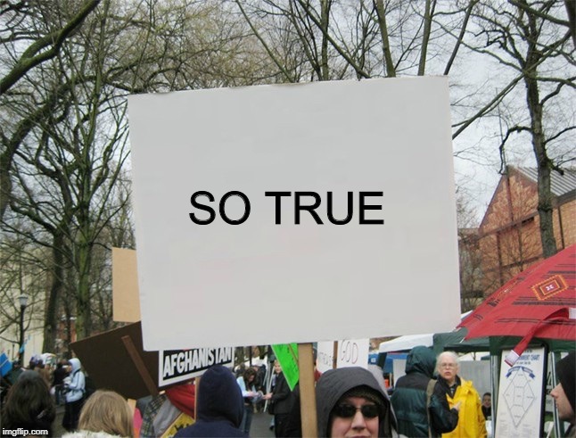The words on this sign are so true! | SO TRUE | image tagged in blank protest sign | made w/ Imgflip meme maker