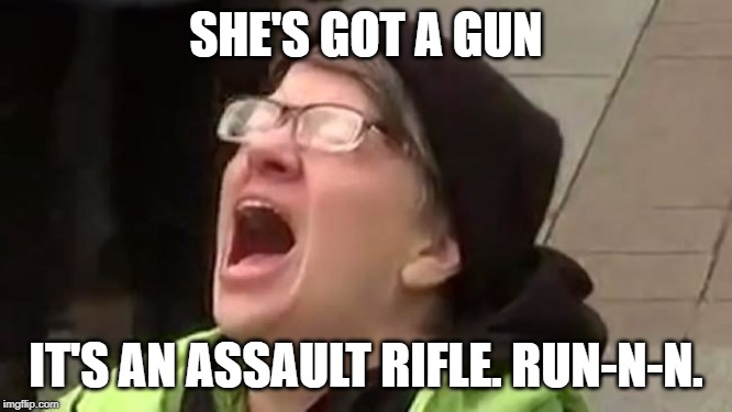 SHE'S GOT A GUN IT'S AN ASSAULT RIFLE. RUN-N-N. | made w/ Imgflip meme maker