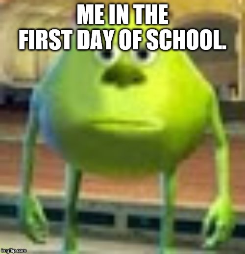 Sully Wazowski | ME IN THE FIRST DAY OF SCHOOL. | image tagged in sully wazowski | made w/ Imgflip meme maker