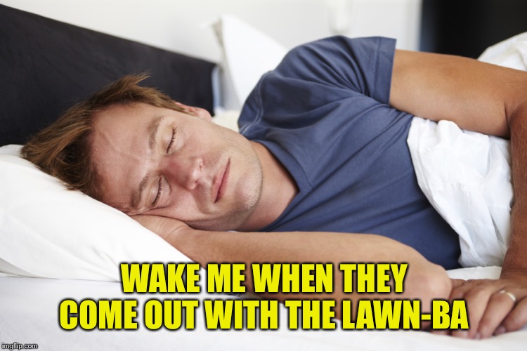 Do Not Disturb | WAKE ME WHEN THEY COME OUT WITH THE LAWN-BA | image tagged in sleeping man,roomba,lawnba,do not disturb | made w/ Imgflip meme maker