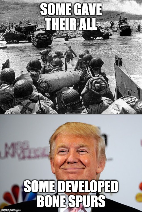 SOME GAVE THEIR ALL; SOME DEVELOPED BONE SPURS | image tagged in donald trump approves | made w/ Imgflip meme maker