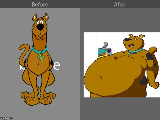 Before and After | image tagged in before and after | made w/ Imgflip meme maker