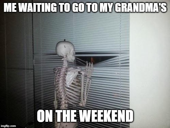 Skeleton Looking Out Window | ME WAITING TO GO TO MY GRANDMA'S; ON THE WEEKEND | image tagged in skeleton looking out window | made w/ Imgflip meme maker