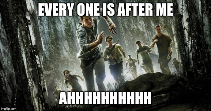 Maze runner | EVERY ONE IS AFTER ME; AHHHHHHHHHH | image tagged in maze runner | made w/ Imgflip meme maker