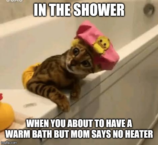 Bath time | IN THE SHOWER; WHEN YOU ABOUT TO HAVE A WARM BATH BUT MOM SAYS NO HEATER | image tagged in cold weather | made w/ Imgflip meme maker