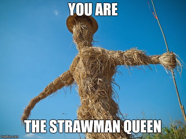 Strawman | YOU ARE THE STRAWMAN QUEEN | image tagged in strawman | made w/ Imgflip meme maker