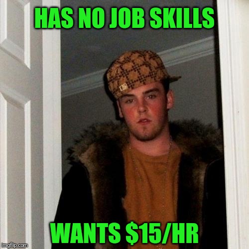 Scumbag Steve Meme | HAS NO JOB SKILLS; WANTS $15/HR | image tagged in memes,scumbag steve | made w/ Imgflip meme maker