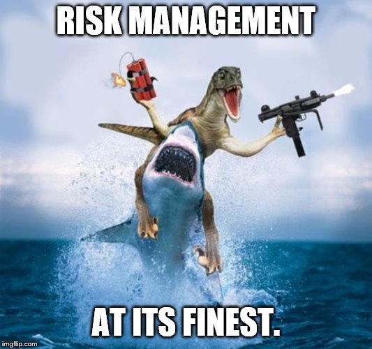 Dinosaur Riding Shark | RISK MANAGEMENT; AT ITS FINEST. | image tagged in dinosaur riding shark | made w/ Imgflip meme maker