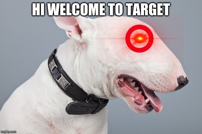 Hi im Bullseye! | HI WELCOME TO TARGET | image tagged in target,bullseye,meme,dogs | made w/ Imgflip meme maker