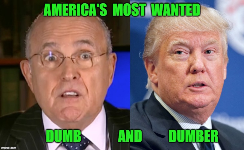 Trump | AMERICA'S  MOST  WANTED; DUMB              AND          DUMBER | image tagged in donald trump | made w/ Imgflip meme maker