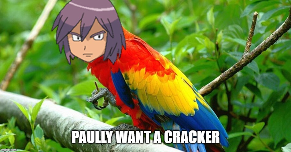 PAULLY WANT A CRACKER | made w/ Imgflip meme maker