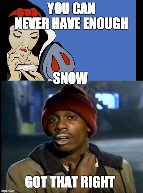 YOU CAN NEVER HAVE ENOUGH SNOW GOT THAT RIGHT | image tagged in yall got any more of | made w/ Imgflip meme maker