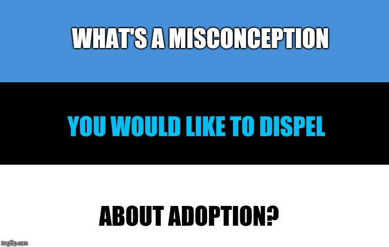 Shattering Misconceptions Estonia | WHAT'S A MISCONCEPTION; YOU WOULD LIKE TO DISPEL; ABOUT ADOPTION? | image tagged in shattering misconceptions estonia | made w/ Imgflip meme maker