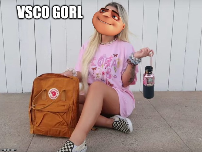 VSCO GORL | VSCO GORL | image tagged in vsco,memes,gru,hydro flask | made w/ Imgflip meme maker