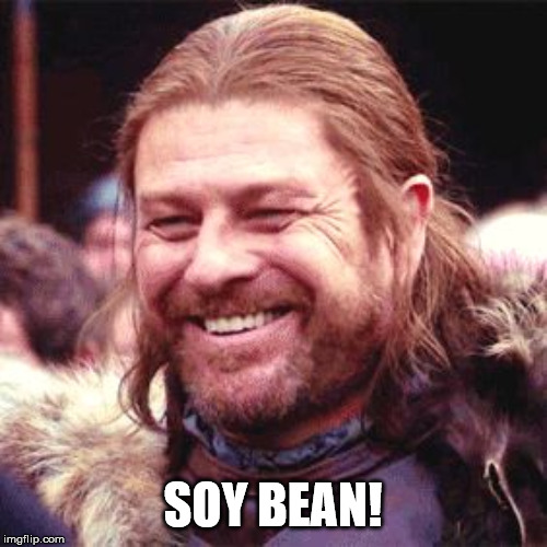 Sean Bean | SOY BEAN! | image tagged in sean bean | made w/ Imgflip meme maker