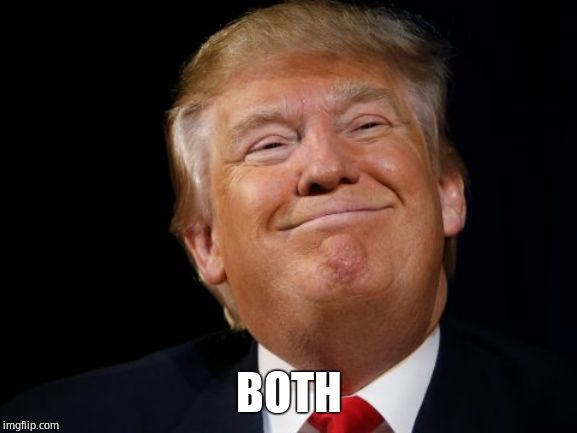 Smug Trump | BOTH | image tagged in smug trump | made w/ Imgflip meme maker