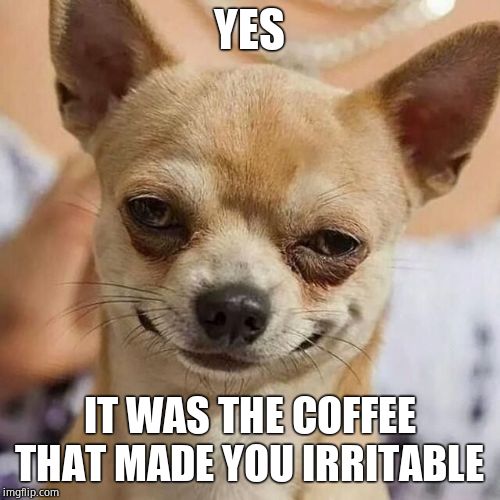 Smirking Dog | YES; IT WAS THE COFFEE THAT MADE YOU IRRITABLE | image tagged in smirking dog,excuses | made w/ Imgflip meme maker