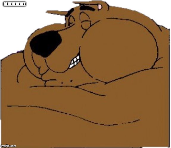 fat scooby laughing | REHEHEHEHEE | image tagged in fat scooby laughing | made w/ Imgflip meme maker