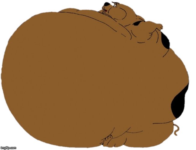 fat immobile scooby | image tagged in fat immobile scooby | made w/ Imgflip meme maker