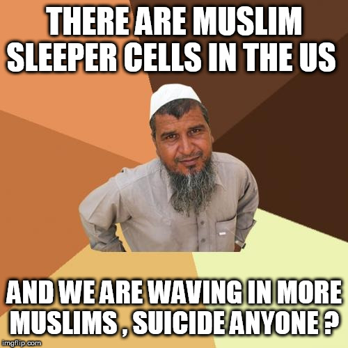 Ordinary Muslim Man Meme | THERE ARE MUSLIM SLEEPER CELLS IN THE US; AND WE ARE WAVING IN MORE MUSLIMS , SUICIDE ANYONE ? | image tagged in memes,ordinary muslim man | made w/ Imgflip meme maker