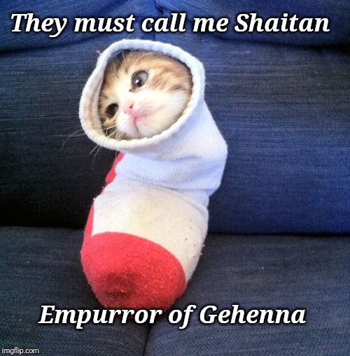 Dune kitty memes must flow | They must call me Shaitan; Empurror of Gehenna | image tagged in dune | made w/ Imgflip meme maker