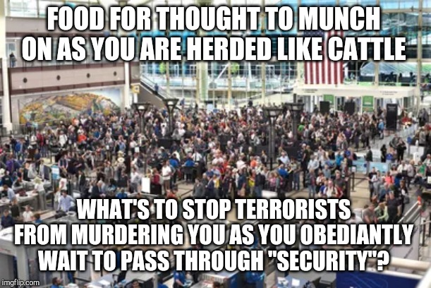 Such a disaster is possible. And then what? Security checks before the security checks? | FOOD FOR THOUGHT TO MUNCH ON AS YOU ARE HERDED LIKE CATTLE; WHAT'S TO STOP TERRORISTS FROM MURDERING YOU AS YOU OBEDIANTLY WAIT TO PASS THROUGH "SECURITY"? | image tagged in tsa,terrorism,airport | made w/ Imgflip meme maker