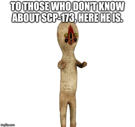 TO THOSE WHO DON'T KNOW ABOUT SCP-173, HERE HE IS. | image tagged in blank white template | made w/ Imgflip meme maker