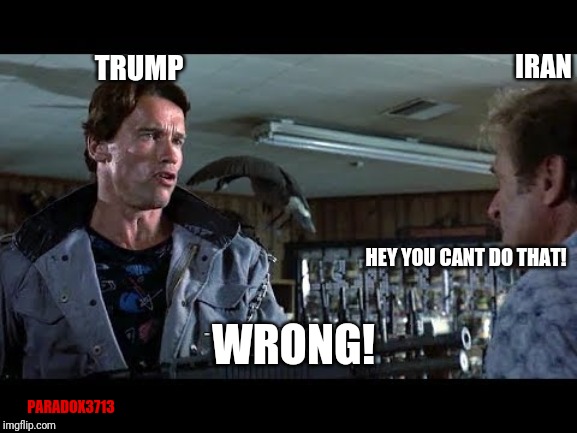 When President Trump b*tch slaps Iran | IRAN; TRUMP; HEY YOU CANT DO THAT! WRONG! PARADOX3713 | image tagged in memes,trump,winning,iran,terrorism,epic fail | made w/ Imgflip meme maker