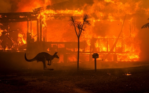 Australian Bushfire Blank Meme Template