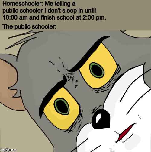 The truth | Homeschooler: Me telling a public schooler I don't sleep in until 10:00 am and finish school at 2:00 pm. The public schooler: | image tagged in memes,unsettled tom,homeschool,so true memes | made w/ Imgflip meme maker