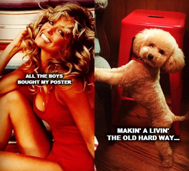 High Quality Liz Lanning, Farrah Fawcett, Dog Blank Meme Template