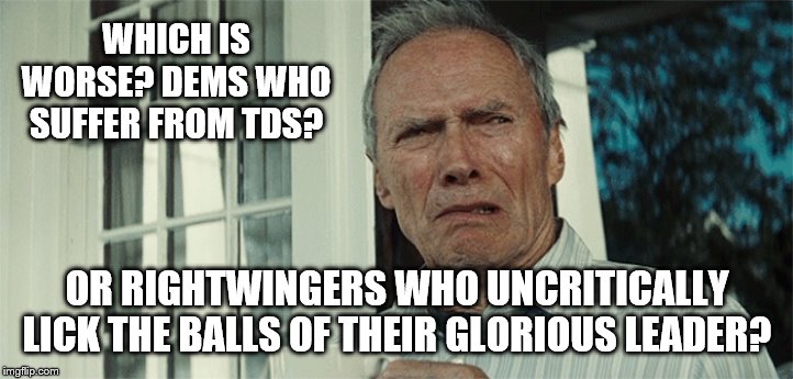 Clint Eastwood WTF | WHICH IS WORSE? DEMS WHO SUFFER FROM TDS? OR RIGHTWINGERS WHO UNCRITICALLY LICK THE BALLS OF THEIR GLORIOUS LEADER? | image tagged in clint eastwood wtf | made w/ Imgflip meme maker