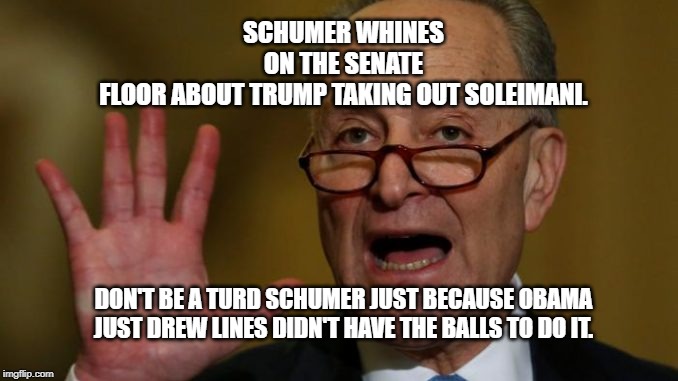 Chuck Schumer | SCHUMER WHINES ON THE SENATE FLOOR ABOUT TRUMP TAKING OUT SOLEIMANI. DON'T BE A TURD SCHUMER JUST BECAUSE OBAMA JUST DREW LINES DIDN'T HAVE THE BALLS TO DO IT. | image tagged in chuck schumer | made w/ Imgflip meme maker