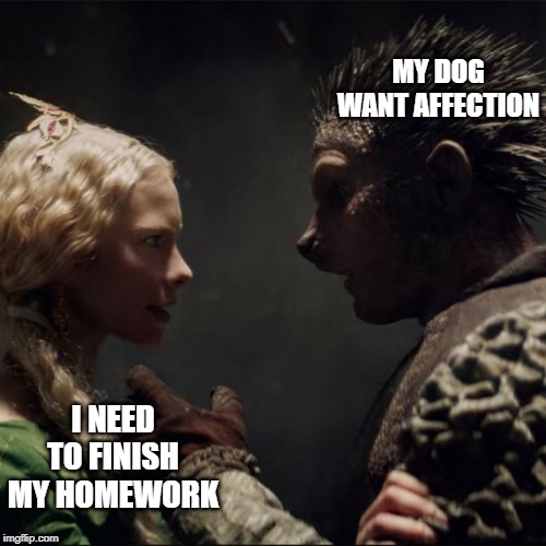 MY DOG WANT AFFECTION; I NEED TO FINISH MY HOMEWORK | image tagged in witcher,students | made w/ Imgflip meme maker