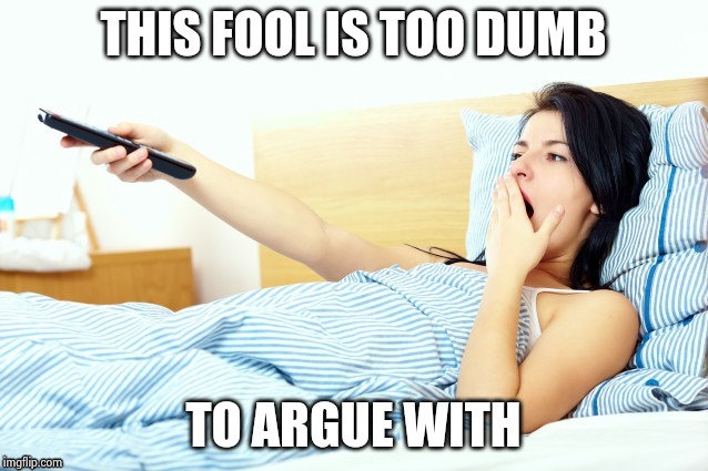 Boooriiing | THIS FOOL IS TOO DUMB TO ARGUE WITH | image tagged in boooriiing | made w/ Imgflip meme maker