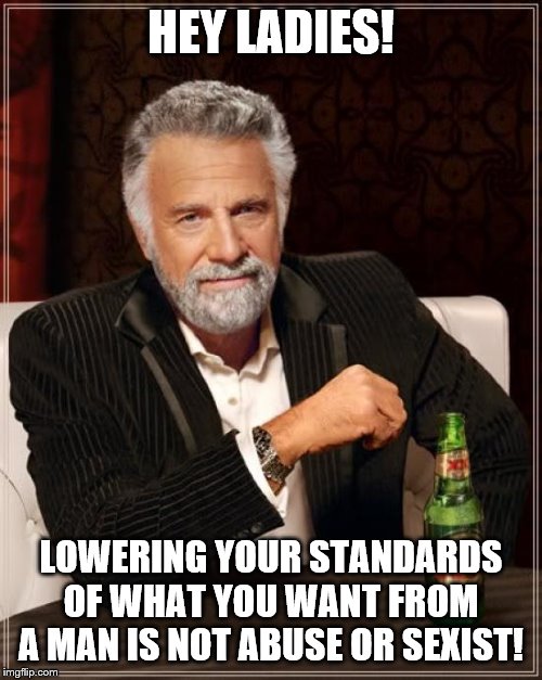 The Most Interesting Man In The World Meme | HEY LADIES! LOWERING YOUR STANDARDS OF WHAT YOU WANT FROM A MAN IS NOT ABUSE OR SEXIST! | image tagged in memes,the most interesting man in the world,feminism,anti-feminism,dating,truth | made w/ Imgflip meme maker