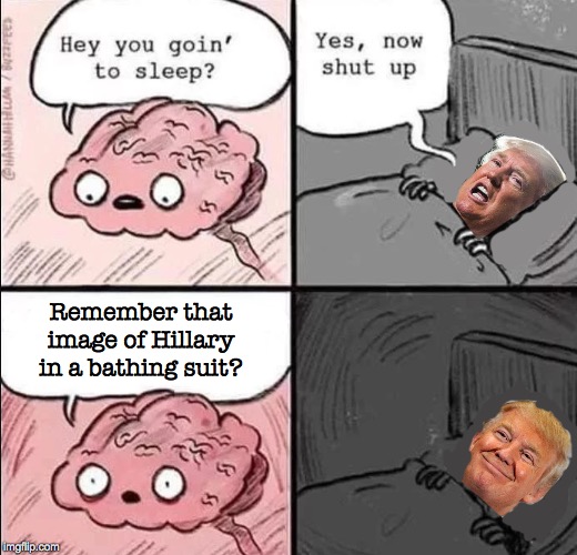 Brain magnified 1000x for easy viewing  ( : | Remember that image of Hillary in a bathing suit? | image tagged in waking up brain,memes,therealdonaldtrump,hot hillary,brain magnified for easy viewing | made w/ Imgflip meme maker