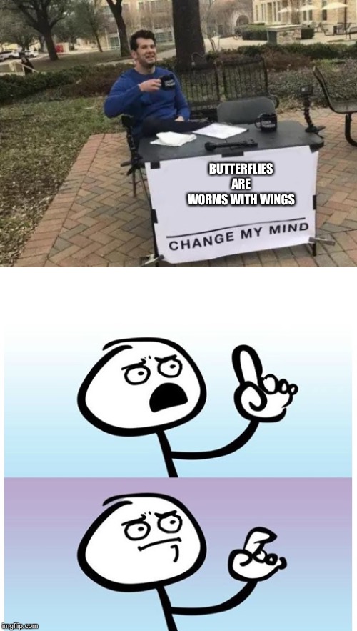 BUTTERFLIES ARE WORMS WITH WINGS | image tagged in stick figure finger,memes,change my mind | made w/ Imgflip meme maker