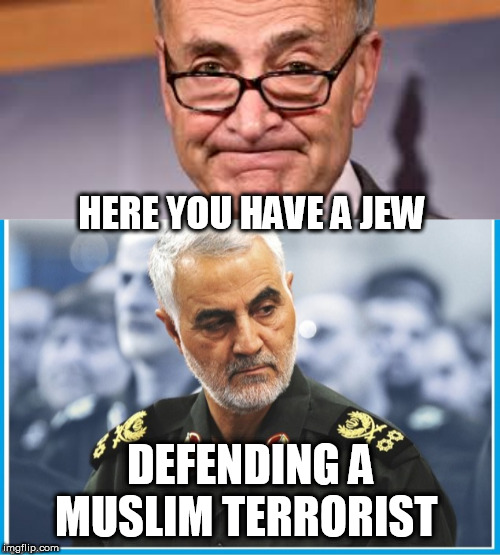 HERE YOU HAVE A JEW; DEFENDING A MUSLIM TERRORIST | image tagged in chuck shumer | made w/ Imgflip meme maker