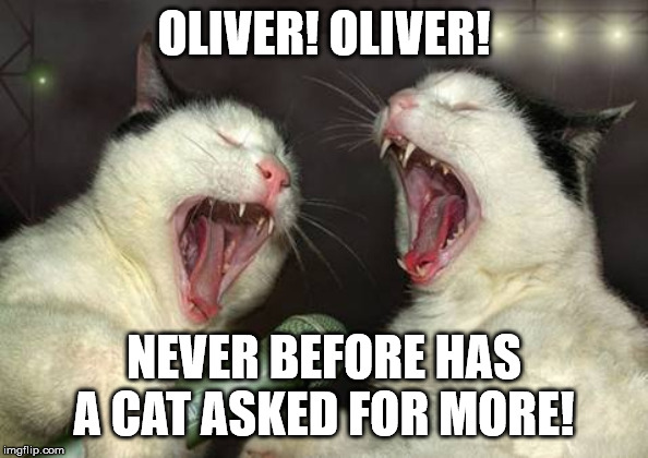 singing cats | OLIVER! OLIVER! NEVER BEFORE HAS A CAT ASKED FOR MORE! | image tagged in singing cats | made w/ Imgflip meme maker