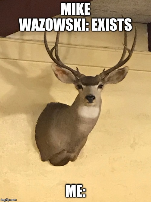 Staring Deer | MIKE WAZOWSKI: EXISTS; ME: | image tagged in staring deer | made w/ Imgflip meme maker